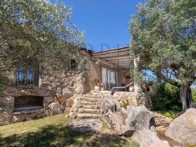 Villa Indipendente in vendita a San Pantaleo