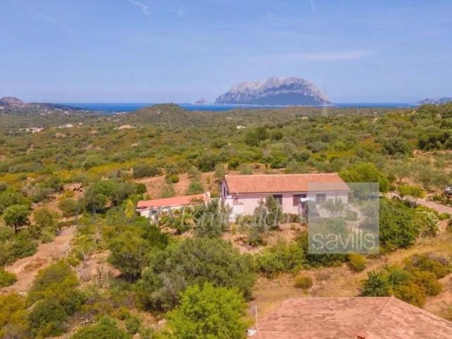 Villa Indipendente in vendita a San Pantaleo, Sardigna/Sardegna