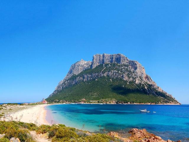 Villa Indipendente in vendita a San Pantaleo, Sardigna/Sardegna