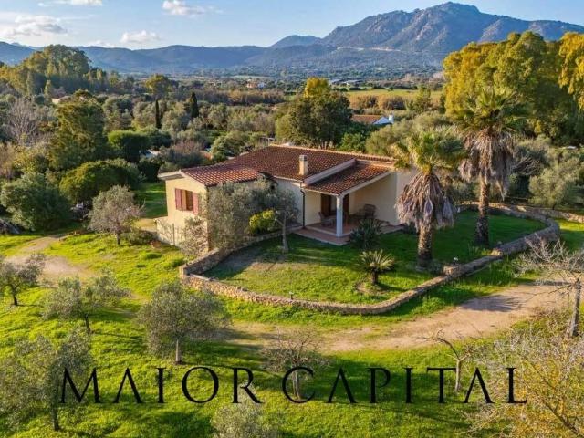 Villa Indipendente in vendita a Monte Telti, San Pantaleo