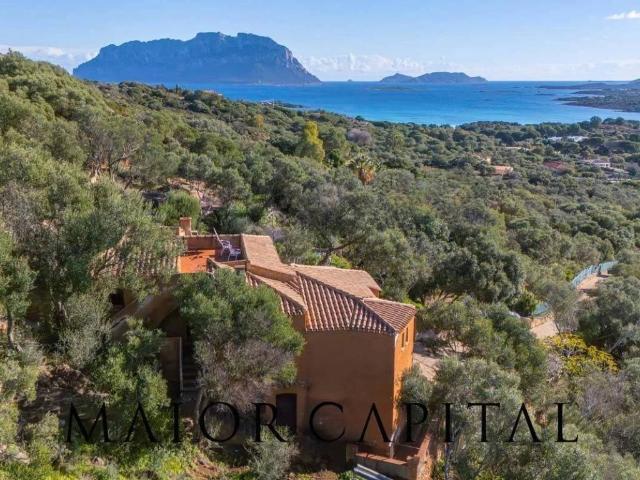 Villa Indipendente in vendita a San Pantaleo, Sardigna/Sardegna