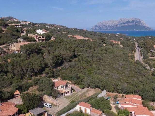 Villa Indipendente in vendita a San Pantaleo, Sardigna/Sardegna