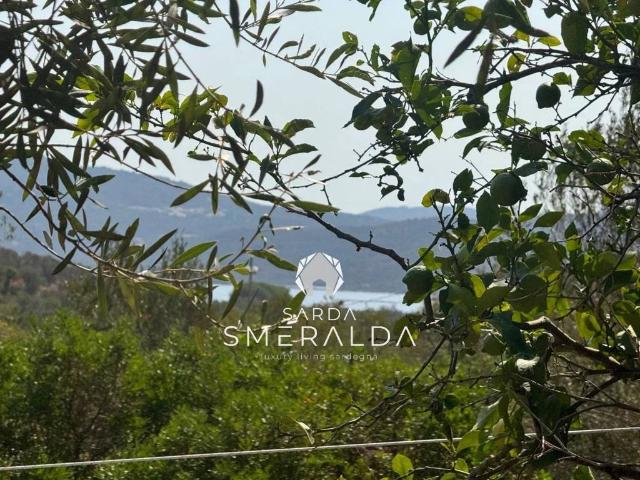 Villa Indipendente in vendita a San Pantaleo, Sardigna/Sardegna