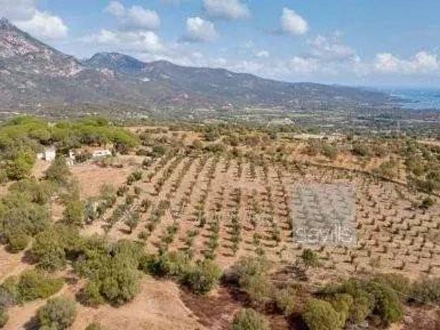 Villa Indipendente in vendita a San Pantaleo