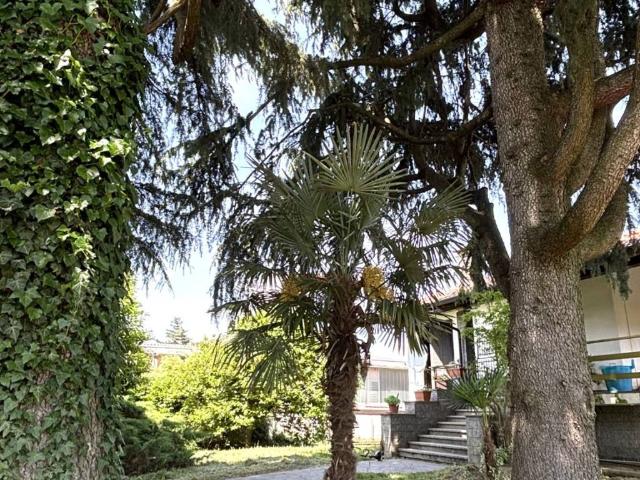 Villa Indipendente in vendita a Le Fornaci, Piemonte
