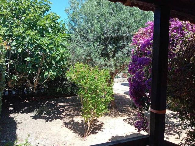 Villa Indipendente in vendita a Olmedo, Sardigna/Sardegna