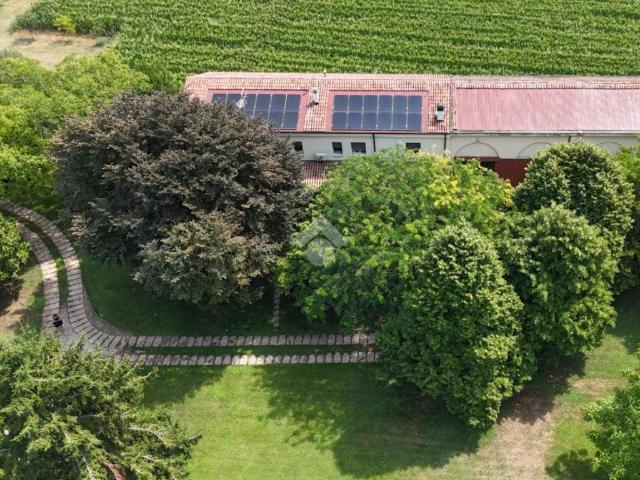 Villa Indipendente in vendita a Oppeano, Veneto
