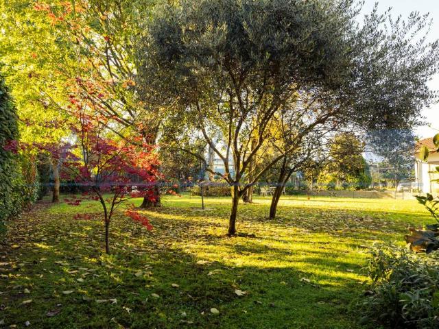Villa Indipendente in vendita a Oppeano, Veneto