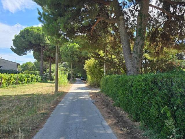 Villa Indipendente in vendita a Quattro Strade, Orbetello