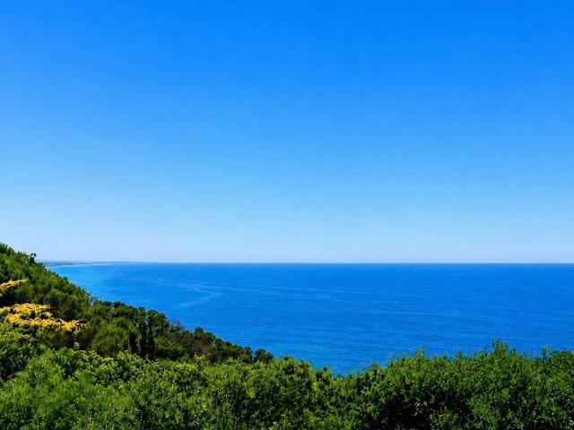 Villa Indipendente in vendita a Orbetello, Toscana