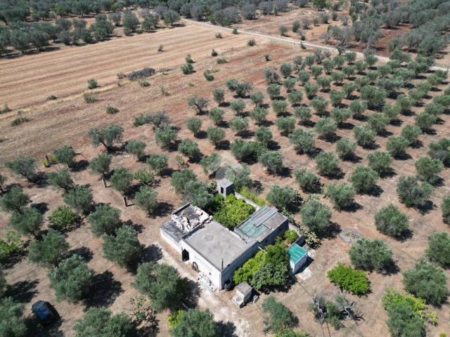 Villa Indipendente in vendita a Puglia, Brindisi