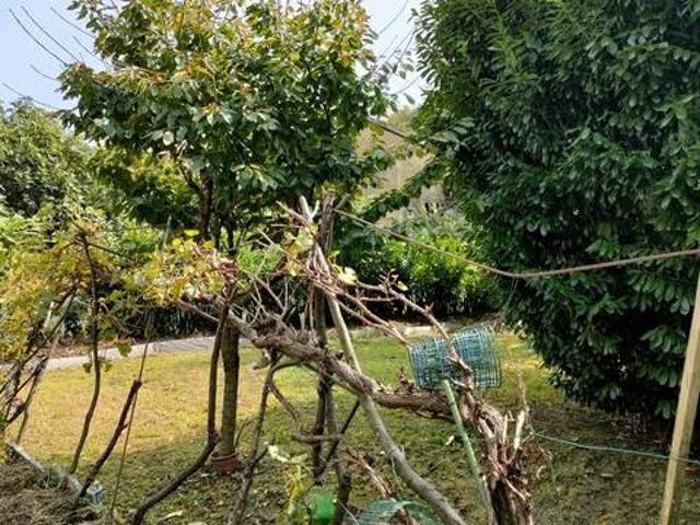 Villa Indipendente in vendita a Piemonte, Verbano-cusio-ossola