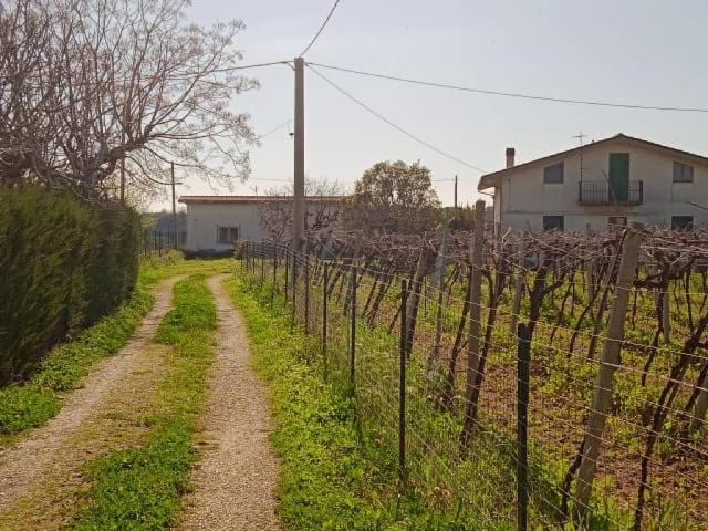 Villa Indipendente in vendita a Ortona, Abruzzo