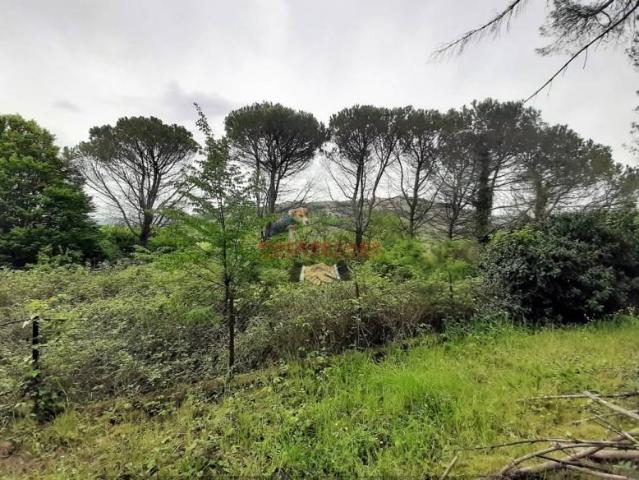 Villa Indipendente in vendita a Sferracavallo, Orvieto