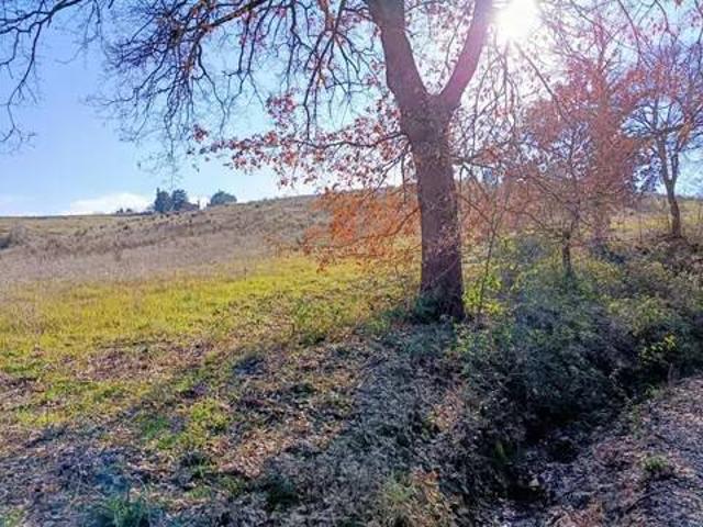 Villa Indipendente in vendita a Orvieto, Umbria