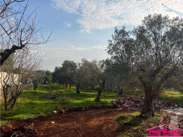 Villa Indipendente in vendita a Puglia, Brindisi