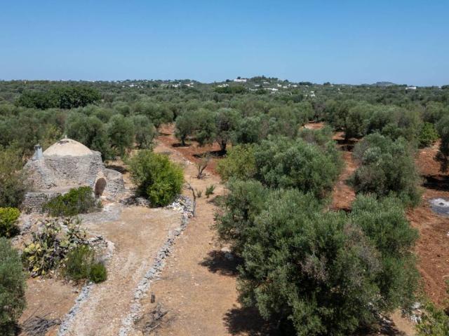 Villa Indipendente in vendita a Puglia, Brindisi
