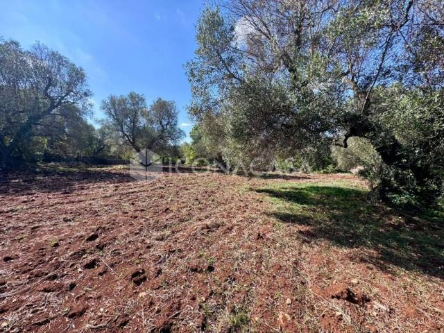 Villa Indipendente in vendita a Puglia, Brindisi