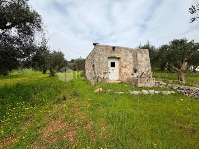 Villa Indipendente in vendita a Puglia, Brindisi
