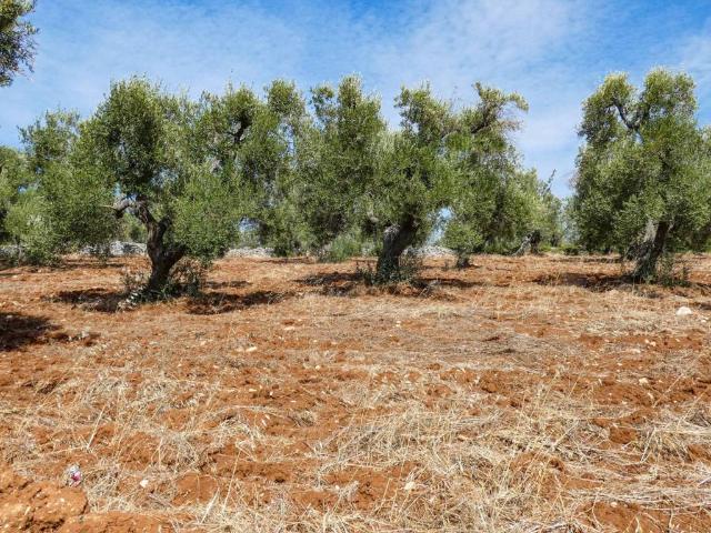 Villa Indipendente in vendita a Puglia, Brindisi