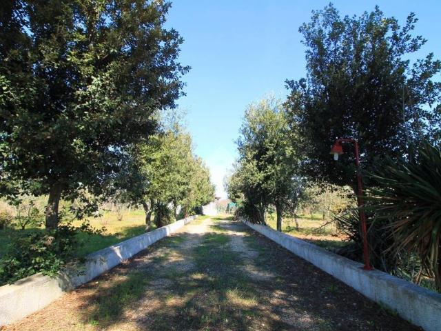 Villa Indipendente in vendita a Puglia, Brindisi