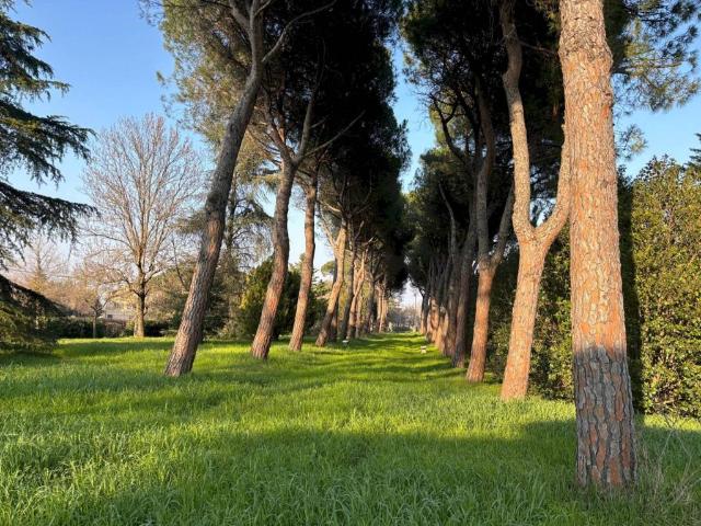 Villa Indipendente in vendita a Unione dei comuni Savena-Idice, Ozzano Dell'emilia