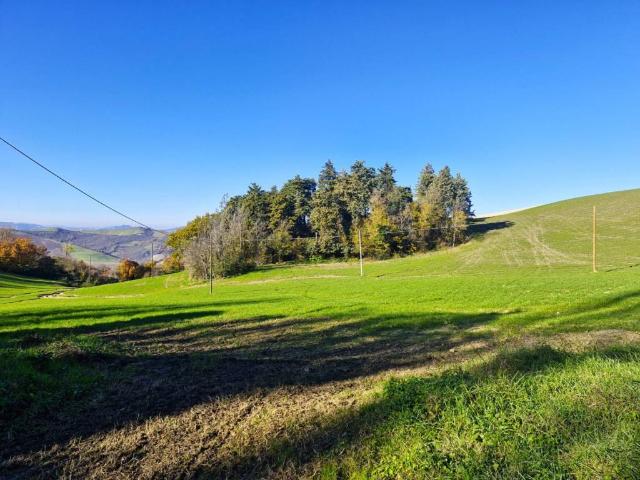 Villa Indipendente in vendita a Unione dei comuni Savena-Idice, Ozzano Dell'emilia