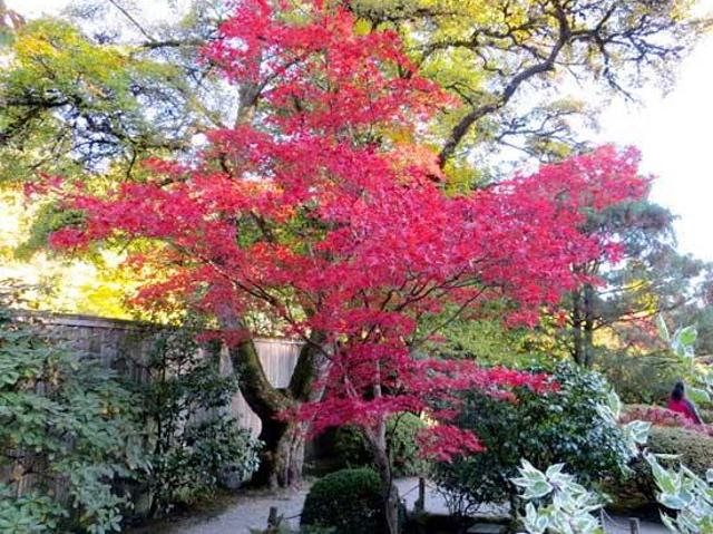 Villa Indipendente in vendita a Camin, Padova