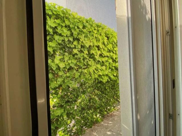 Villa Indipendente in vendita a Sacra Famiglia, Padova