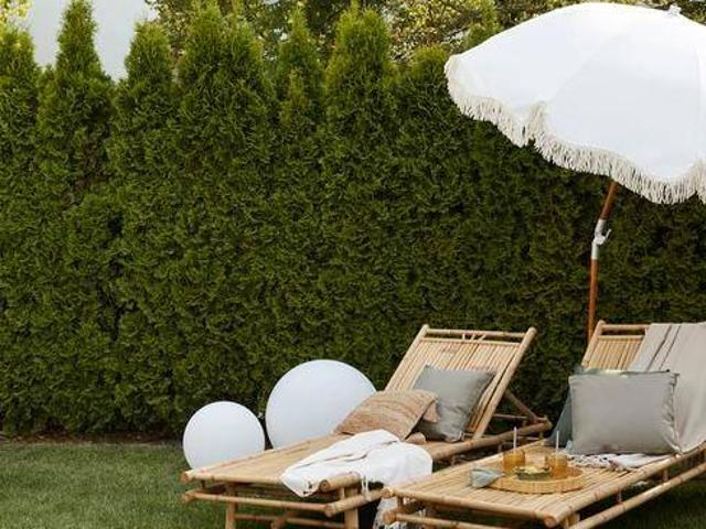 Villa Indipendente in vendita a Carpanedo, Albignasego