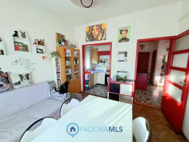 Villa Indipendente in vendita a Madonna Pellegrina, Padova