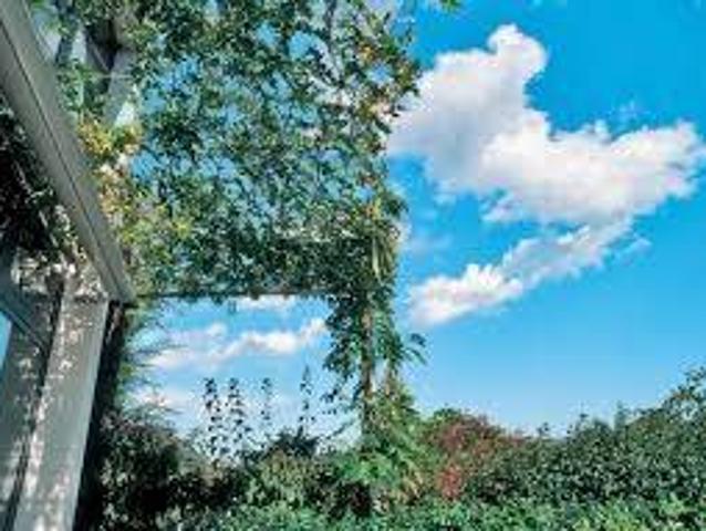 Villa Indipendente in vendita a Mandria, Padova