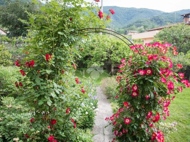 Villa Indipendente in vendita a Piemonte, Cuneo