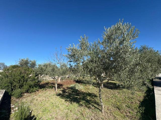 Villa Indipendente in vendita a Pago Veiano, Campania