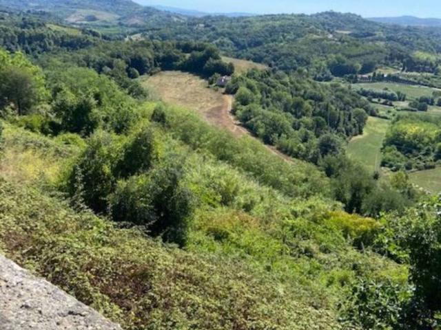 Villa Indipendente in vendita a Legoli, Toscana