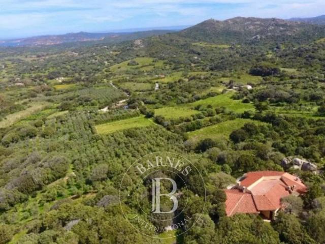 Villa Indipendente in vendita a Villa Monte Altura, Palau