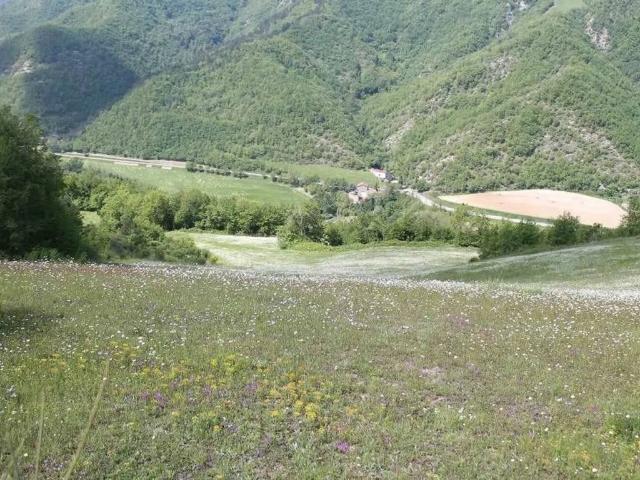 Villa Indipendente in vendita a Palazzuolo Sul Senio, Toscana