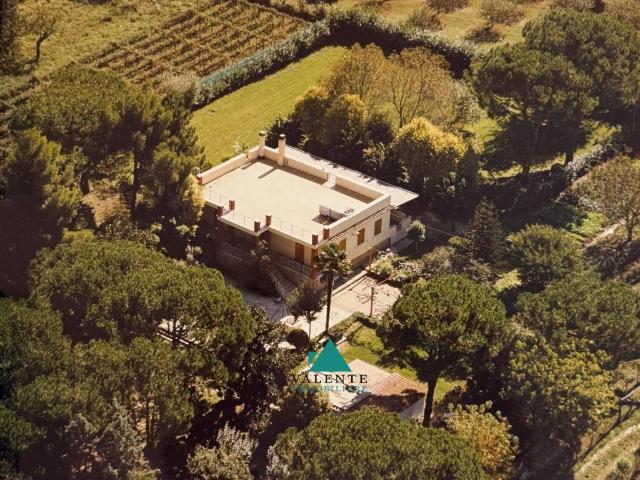 Villa Indipendente in vendita a Torresina, Roma Capitale