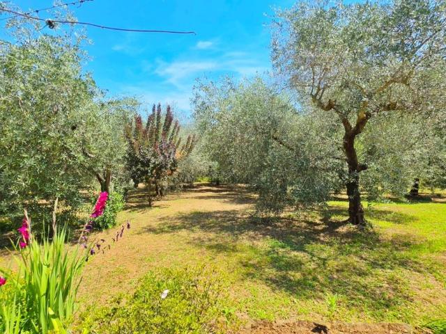 Villa Indipendente in vendita a Roma Capitale, Lazio