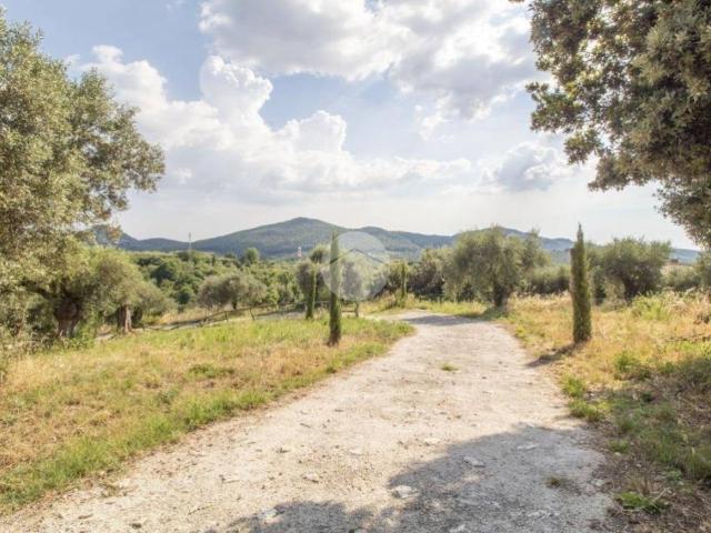Villa Indipendente in vendita a Roma Capitale, Lazio