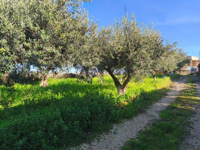 Villa Indipendente in vendita a Partinico, Sicilia