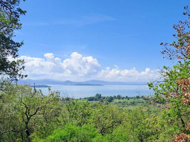 Villa Indipendente in vendita a Passignano Sul Trasimeno, Umbria