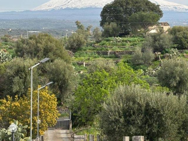 Villa Indipendente in vendita a Santa Maria Di Licodia, Sicilia