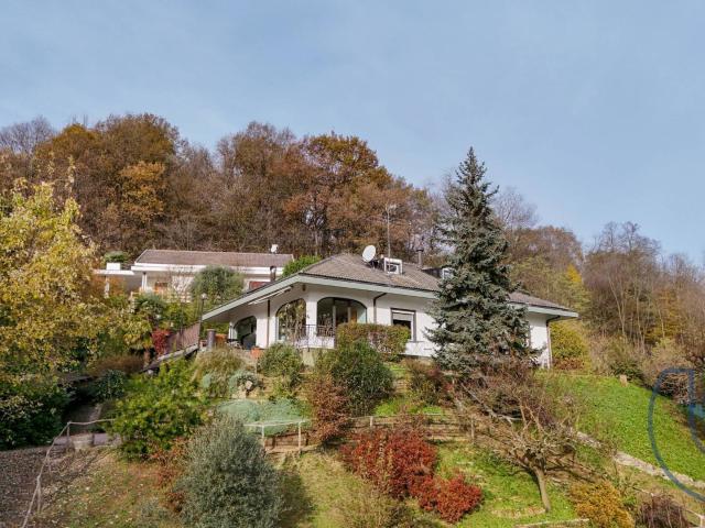 Villa Indipendente in vendita a Rosero, Piemonte