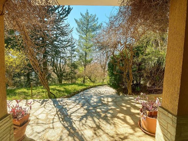 Villa Indipendente in vendita a Rosero, Piemonte