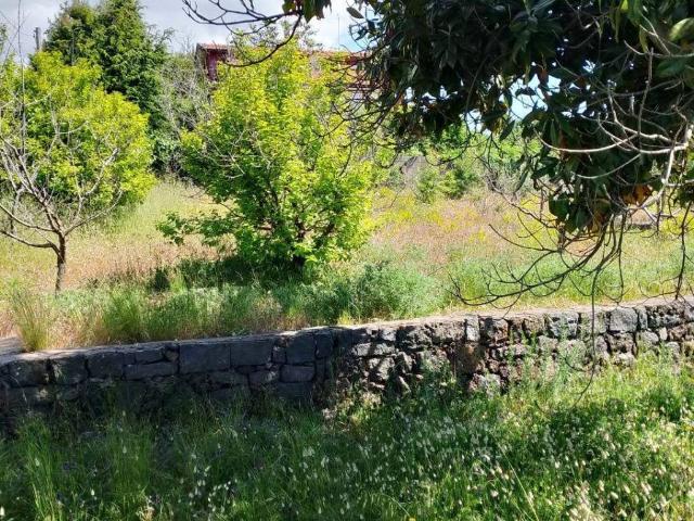 Villa Indipendente in vendita a Tarderia, Pedara