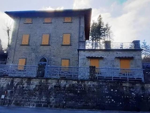 Villa Indipendente in vendita a Unione di Comuni Valdarno e Valdisieve, Pelago