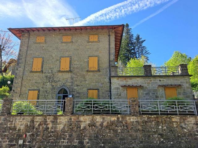 Villa Indipendente in vendita a Unione di Comuni Valdarno e Valdisieve, Pelago