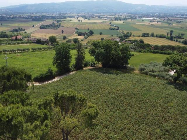 Villa Indipendente in vendita a Cenerente, Umbria