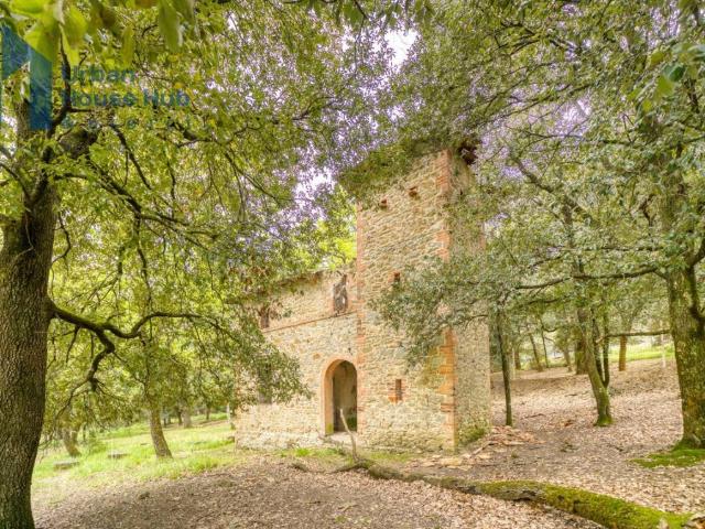 Villa Indipendente in vendita a Cenerente, Umbria
